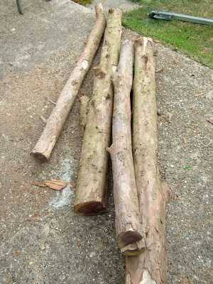 Smaller logs